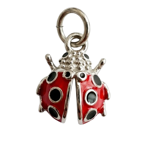 Katica charm – Ezüst